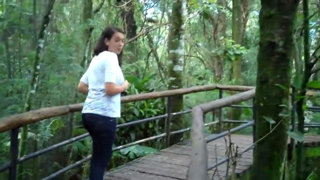 Attacked by a Toucan смотреть онлайн