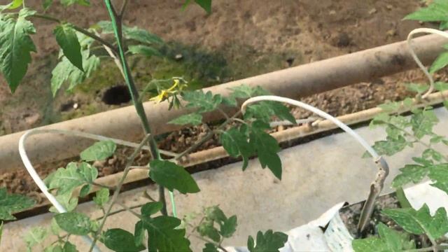 IMG 1591ма7 смотреть онлайн