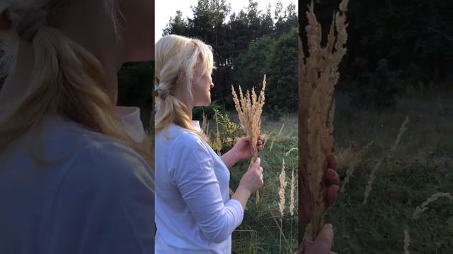 МОЯ МОЛИТВА смотреть онлайн