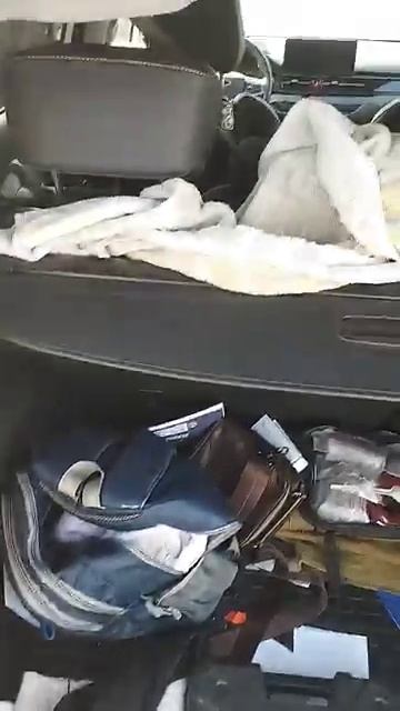 Зачем шторка в багажнике? смотреть онлайн