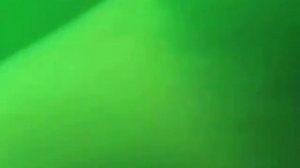 алтайская ящерица