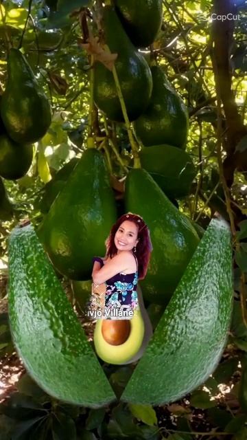 #asmr Amazing Avocado girl cute #shorts#viralvideo #trending смотреть онлайн