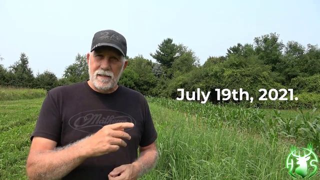 HS360 2021 Swtichgrass sorghum planting update смотреть онлайн