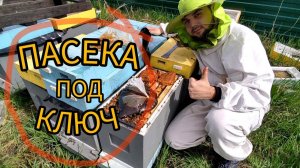 СЕКРЕТ успешного пчеловодства