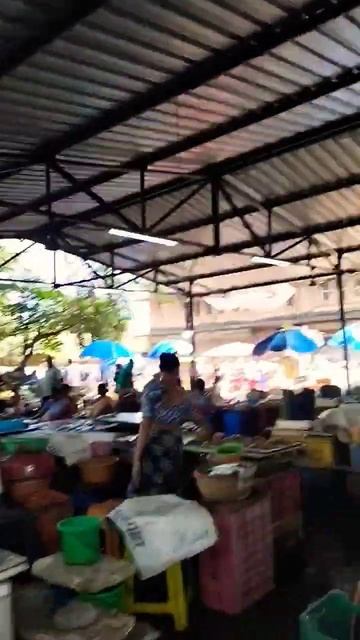 Goa Wholesale Fish Market @vasco Da Gama #youtubeshort#short#