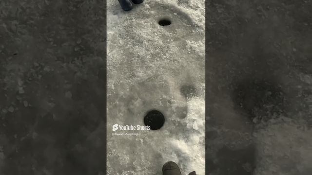 Красотка попалась на раттлин смотреть онлайн