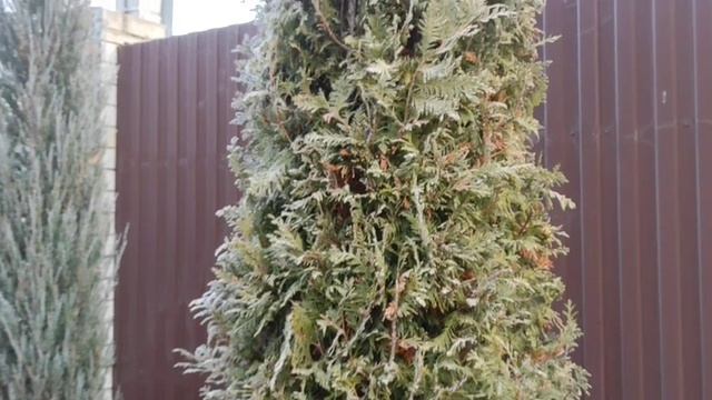 ДЕРЕВЕНСКИЙ ДНЕВНИК."Масленица." смотреть онлайн