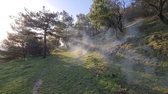 Дербент. Сосновый бор. 28.02.2021 смотреть онлайн