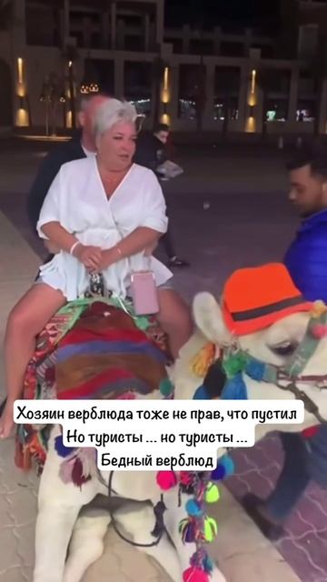 Бедный верблюд смотреть онлайн