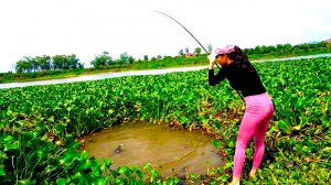 Рыбалка Красивая девушка охотится и ловит крупную рыбу в болоте Классная рыбалка Мужские Хобби