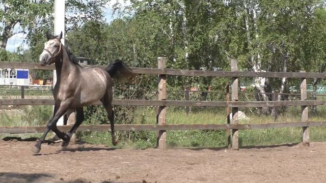 Интерн смотреть онлайн