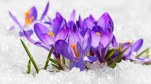 СЮРПРИЗЫ🪻МАРТА