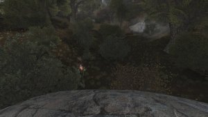 S.T.A.L.K.E.R.  ОП-2.2  Серия 96. Охота на контролеров. Свалка и Забытый лес