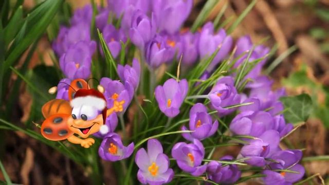 Пришла весна ,встречаем! смотреть онлайн