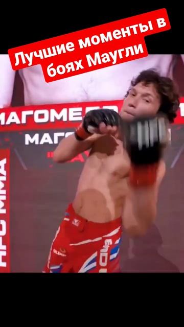 Лучшие моменты из боёв Маугли #shorts #мма #хардкормма смотреть онлайн