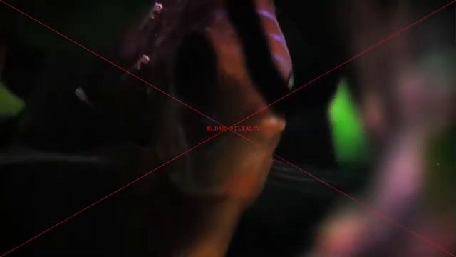 A short film about discus-fish смотреть онлайн