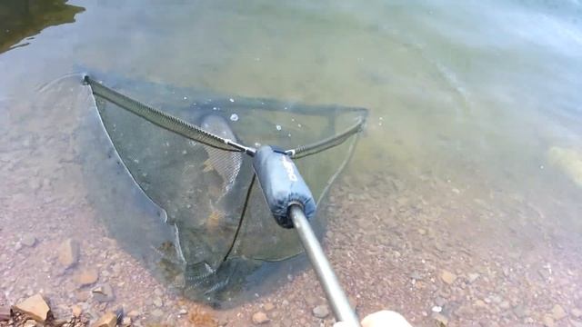 Leshimi i krapit ne liqenin e batllaves смотреть онлайн
