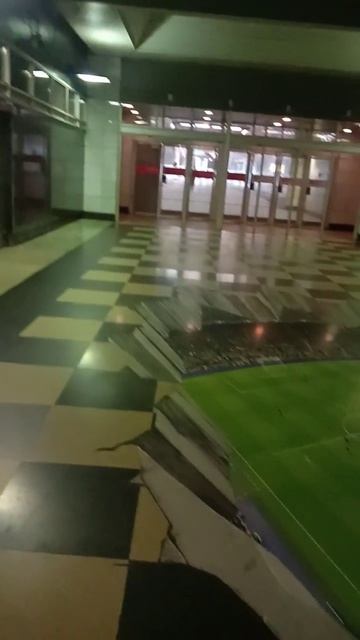 выход к заказнику «Воробьевы горы» смотреть онлайн