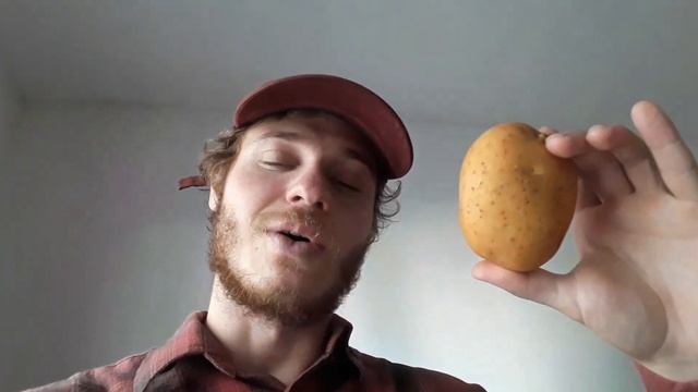 TEMPERATURA PARA PLANTAR BATATA INGLESA