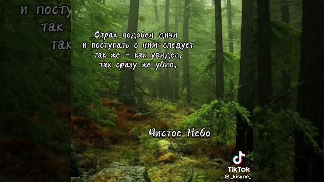 Цитаты из котов воителей 2-ч смотреть онлайн
