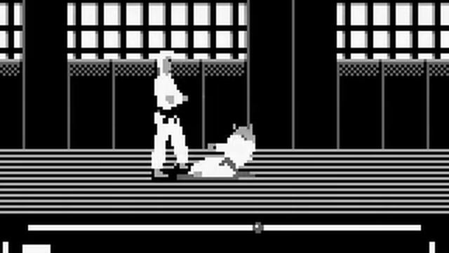 Master Karateka Level 2