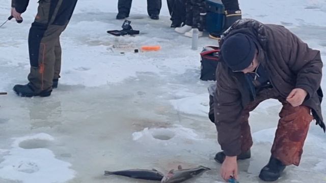 02-03-2025 смотреть онлайн