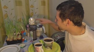 ОБЖОР, ОЧЕНЬ ВКУСНАЯ ПОДСОЛНЕЧНАЯ ХАЛВА, ЧАЙ РИЧАРД С ЧАБРЕЦОМ И РОЗМАРИНОМ.