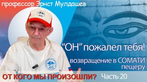От кого мы произошли? Часть 20. "ОН" пожалел тебя!
