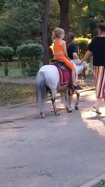 Девочка катается верхом на лошадке в парке Островского. Ростов-на-Дону. 13.08.2023. смотреть онлайн