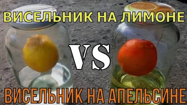 НАСТОЙКА "ВИСЕЛЬНИК" | ЛИМОН Vs АПЕЛЬСИН смотреть онлайн
