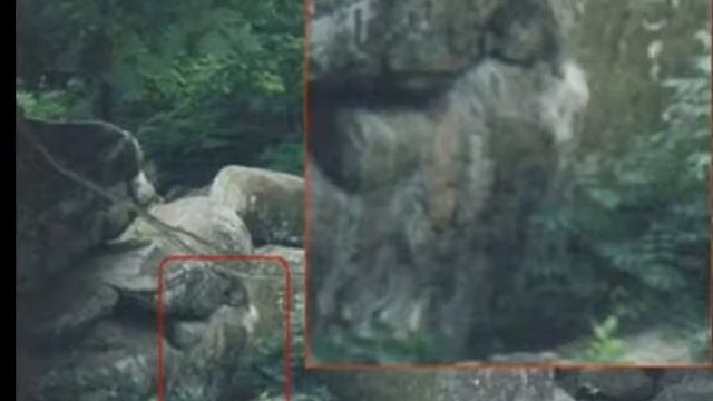 5 фото с призраками ааааааааааааа смотреть онлайн