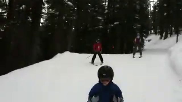 Skiing Veit family sequoia смотреть онлайн
