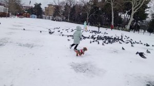 Кормление птиц зимой