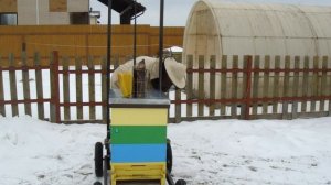 Пчеловодство. Нижнее утепление улья весной