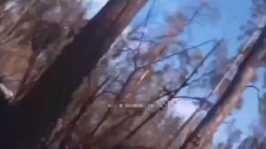 ВОЙНА ОТ ПЕРВОГО ЛИЦА, БЕЗ СКЛЕЕК, ВСЕ КАК ЕСТЬ