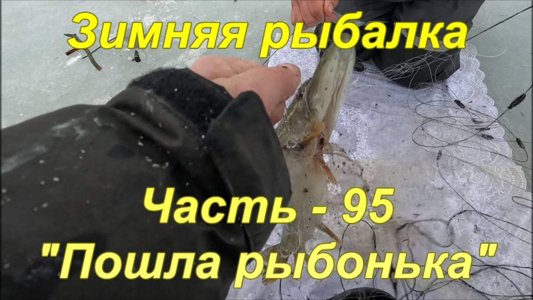Зимняя рыбалка. Часть - 95. "Пошла рыбонька". смотреть онлайн