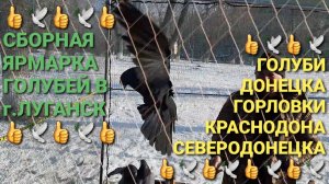Сборная ярмарка голубей в г.Луганск. Голуби Донецка, Горловки, Краснодона, Северодонецка. Pigeons.