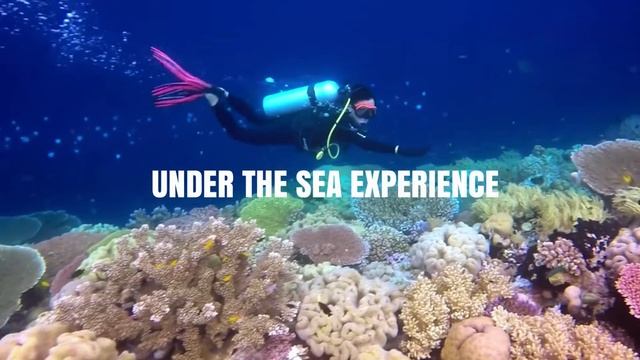 Wakatobi - The World Marine Heritage | Tugas Akhir Semester Pemasaran Hospitality & Leisure смотреть онлайн