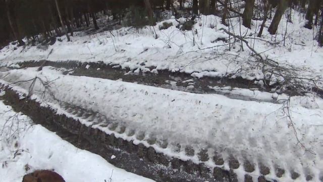 загонка смотреть онлайн
