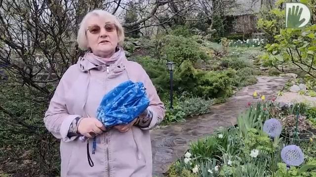 Видео журнал _СОФ №99_ САД для СЕБЯ в ЯПОНСКОМ СТИЛЕ смотреть онлайн