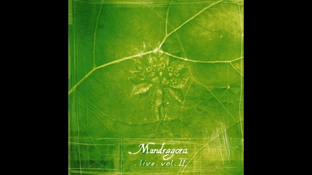 Cartago --Mandragora-- World Music--Live vol.2 смотреть онлайн