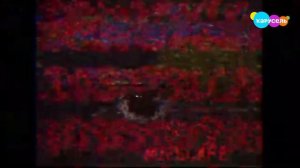 Взлом канала карусель 1 марта 2025 года!!!