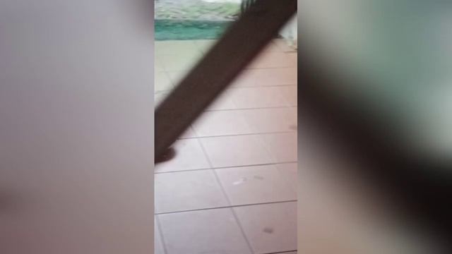 pagi tgl 10/4/2023 sy Lina dirmh dadap VTB C12/4 lg mau santai santai dirmh смотреть онлайн