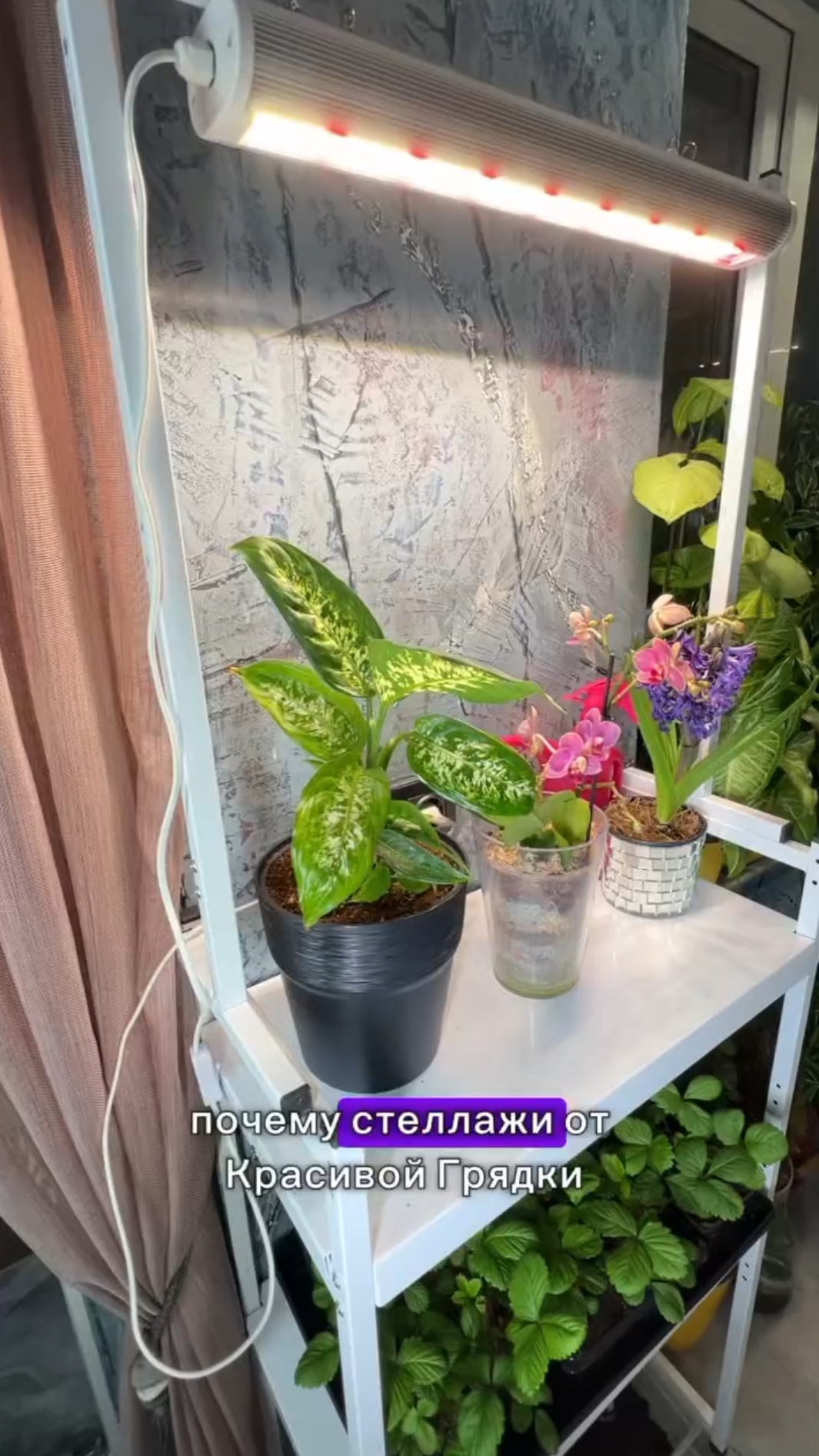 Почему наши стеллажи для рассады имеют такое влагостойкое покрытие и гарантию 2 года? смотреть онлайн