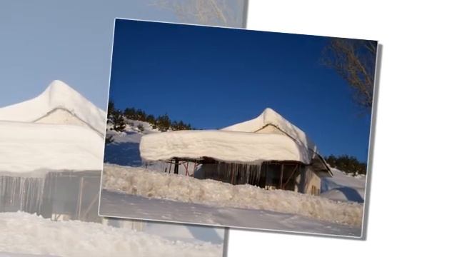 Makka Sagaipova -lebedi