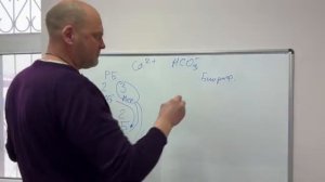 Разбираем добавки. Различия между риф-балансом и биорифом?