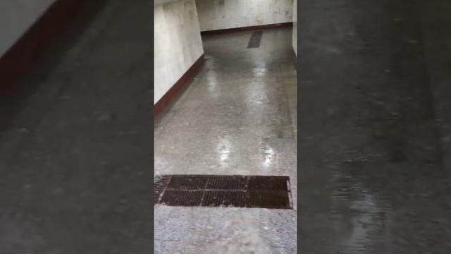 ВОЗВРАТ денег за обувь (часть 2) ADIDAS по Браку ! Делаем экспертизу смотреть онлайн