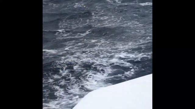 MIKY Catamaran Leopard 50 Pasqua 2019 смотреть онлайн