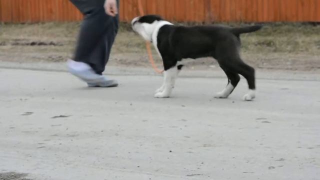 ОЕССЕНН СТИЛЬ Сильвия смотреть онлайн