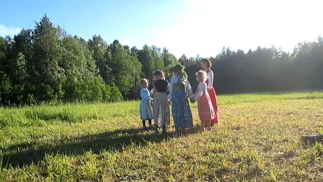 Мак маковистый